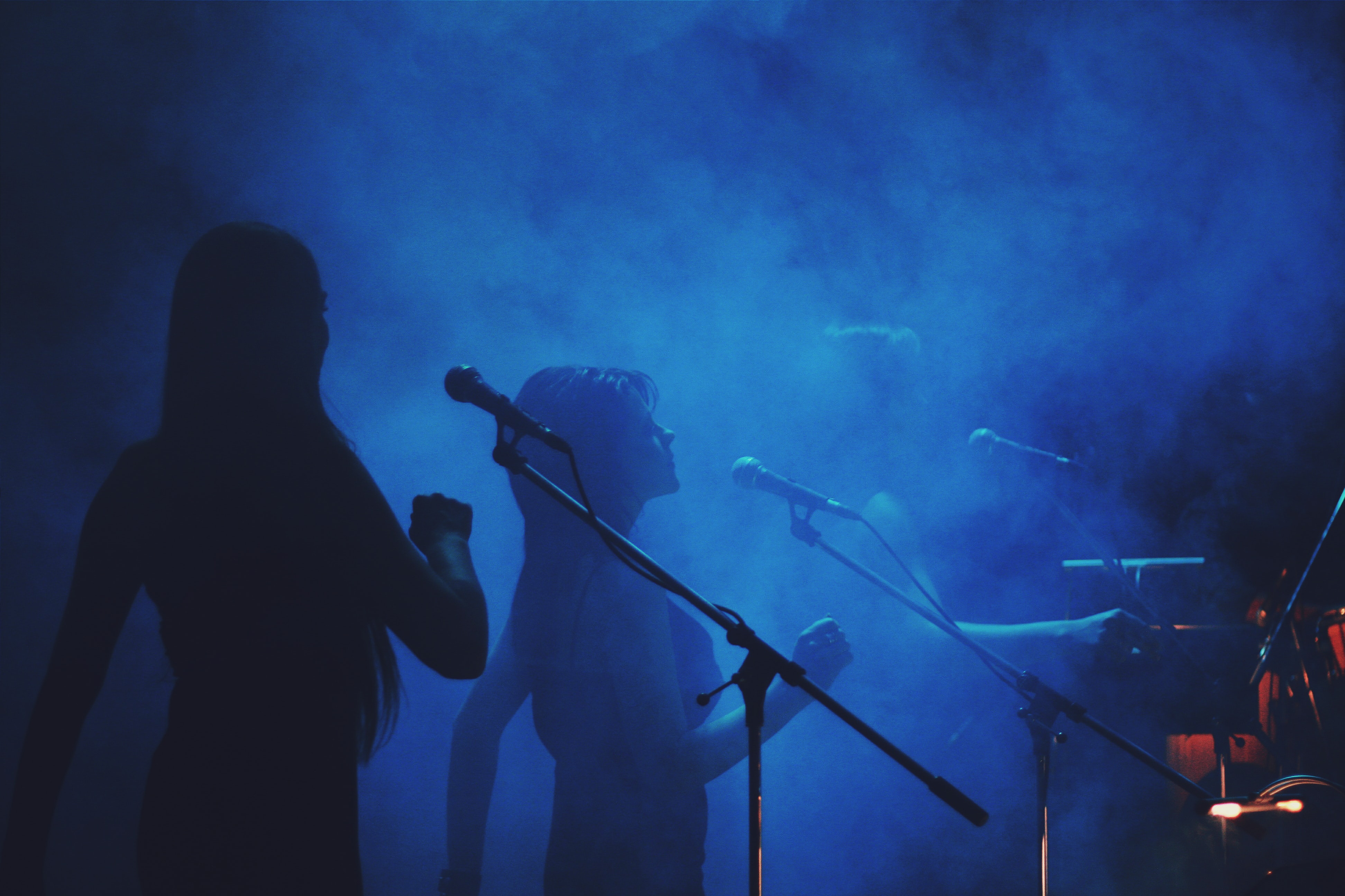 Do the economics of music streaming mean even established musicians can’t pay the rent?