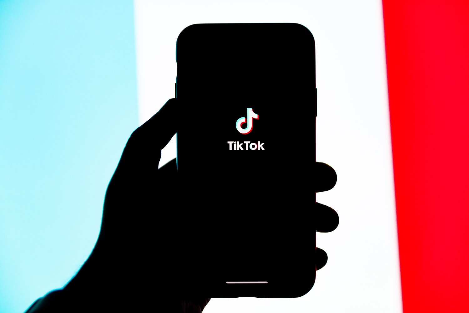 TikTok has the power to make artists famous