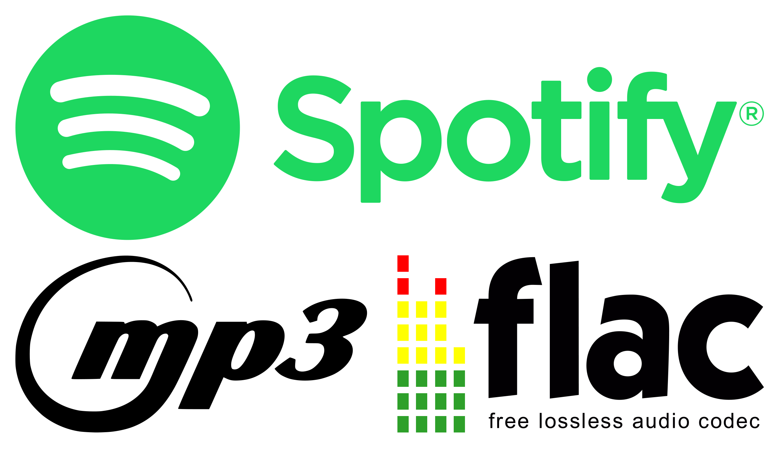 How do I rip songs from Spotify