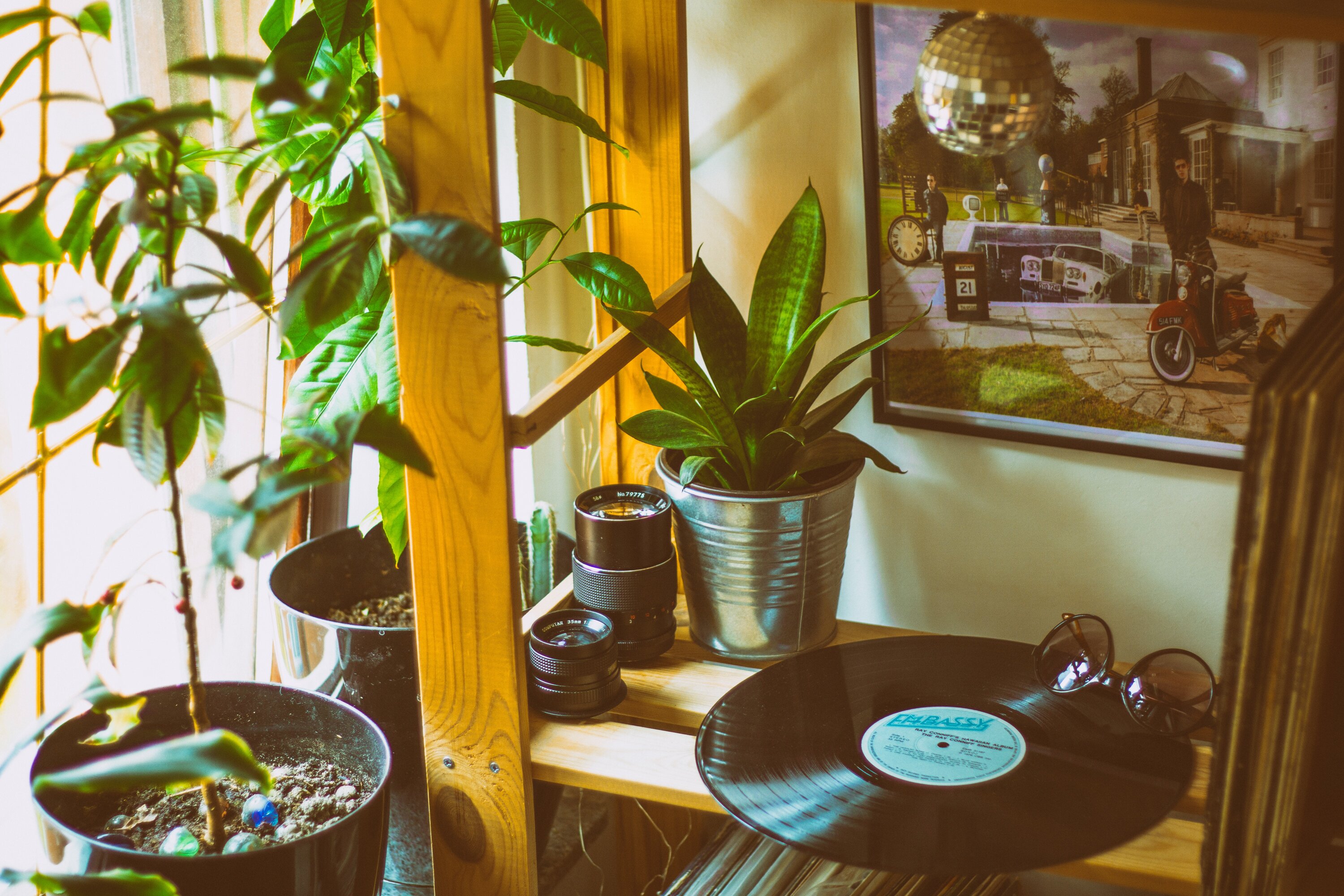 50% of vinyl record buyers don’t own a record player to listen to them on