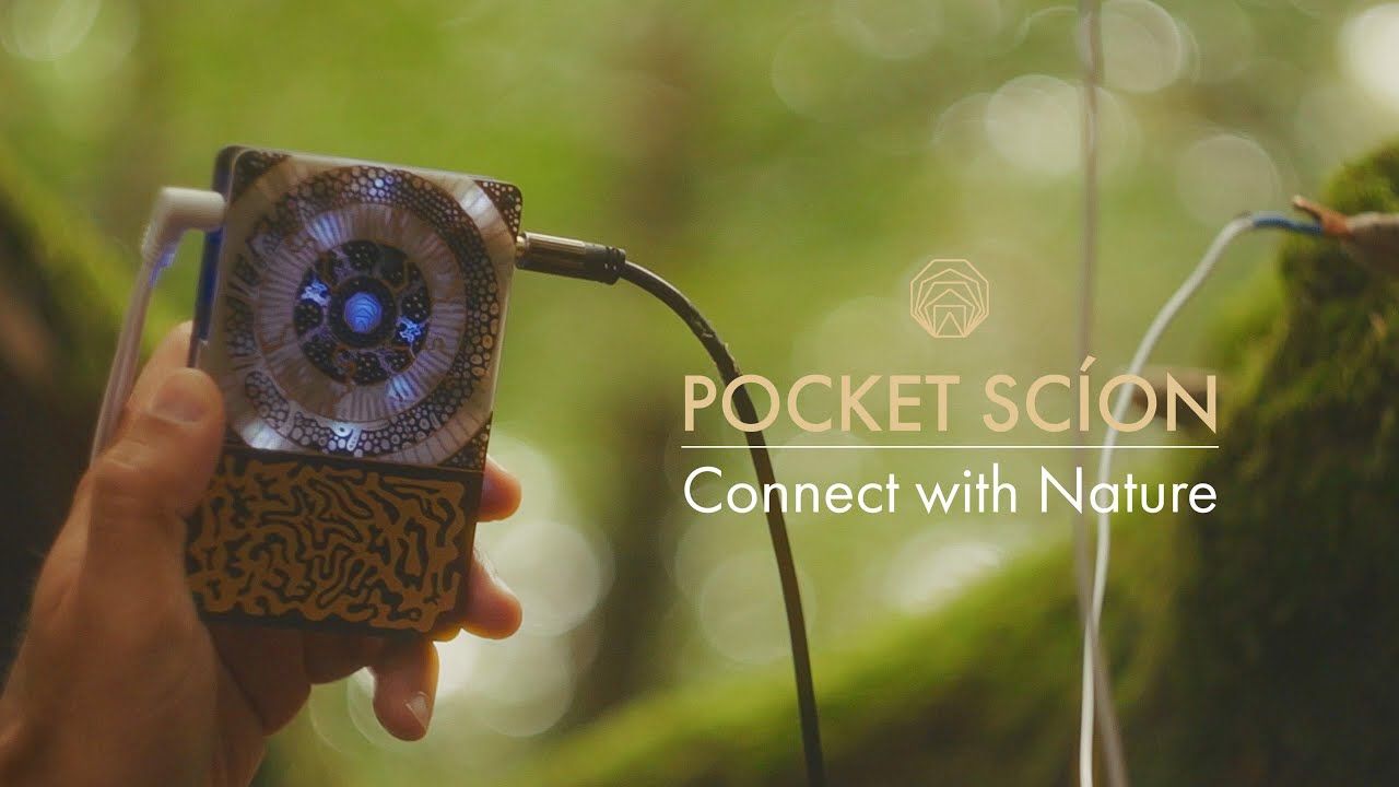 Make music with plants using Pocket Scion