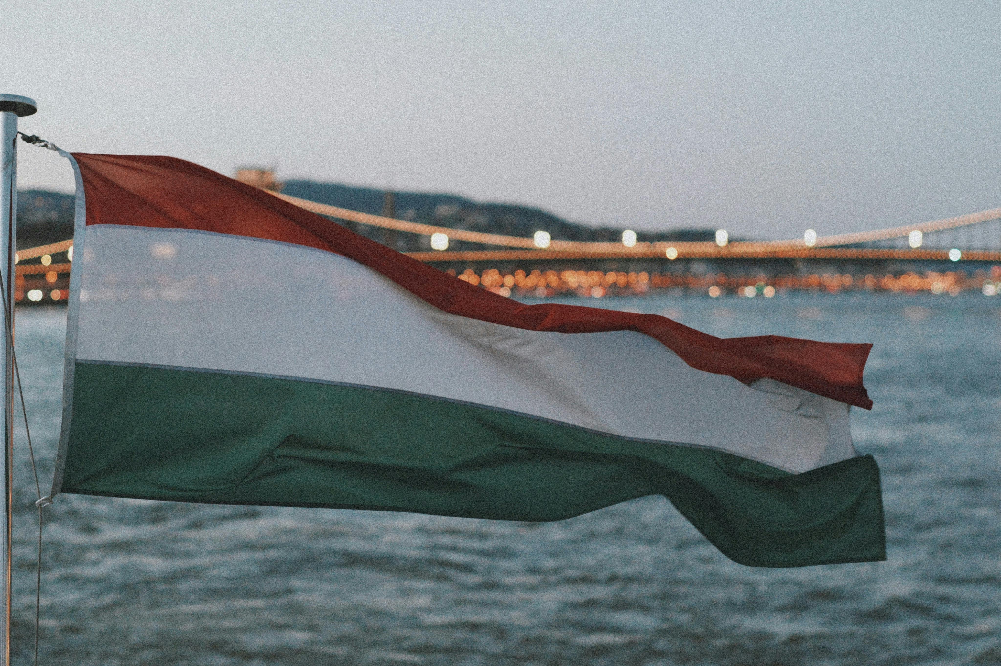 Hungarian artists outperform global stars on Spotify in their home market